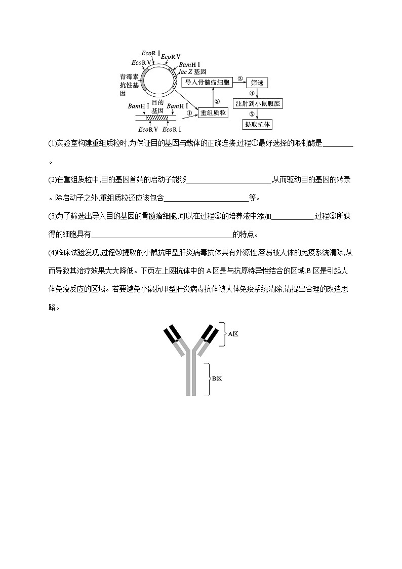 新教材2024届高考生物二轮复习大题分析与表达练7基因工程类含答案第2页