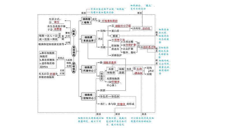 新教材2024届高考生物二轮复习专题1第2讲细胞的结构基础与物质运输课件第4页