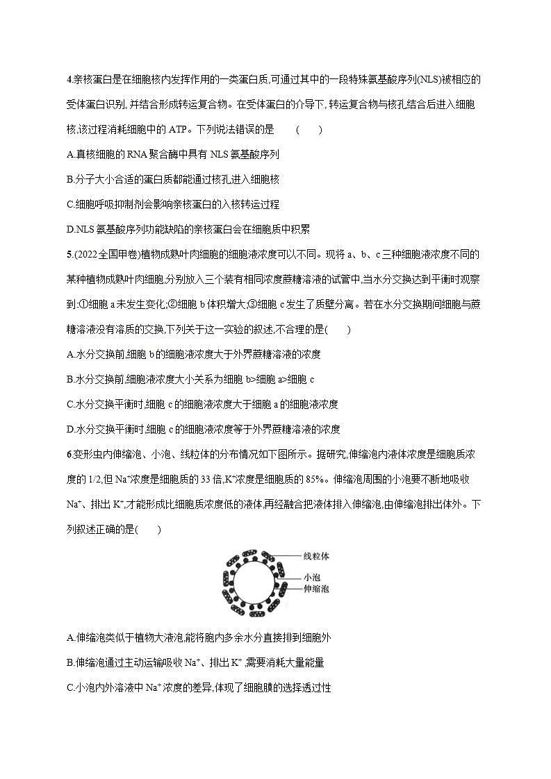 新教材2024届高考生物二轮复习专题突破练2细胞的结构基础与物质运输含答案第2页