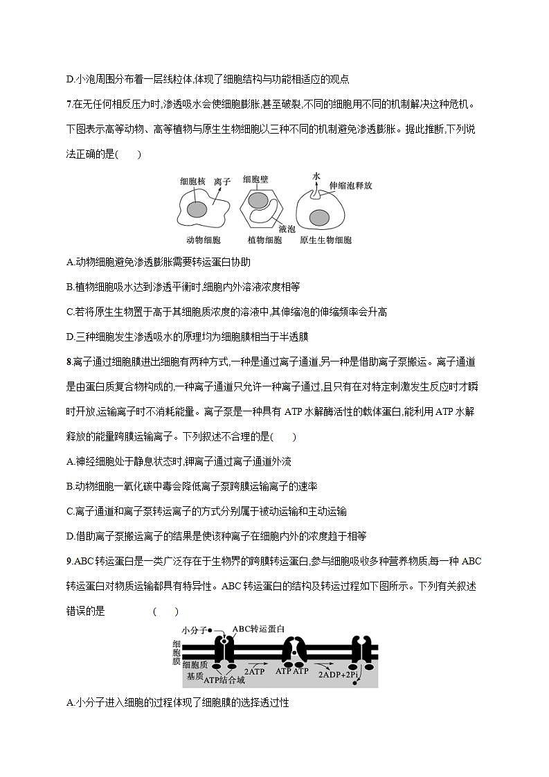 新教材2024届高考生物二轮复习专题突破练2细胞的结构基础与物质运输含答案第3页