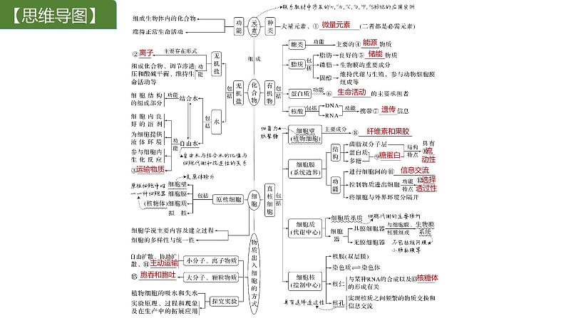 新教材2024届高考生物二轮复习1课时1细胞由多种多样的分子组成课件02