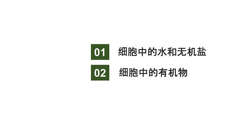 新教材2024届高考生物二轮复习1课时1细胞由多种多样的分子组成课件03