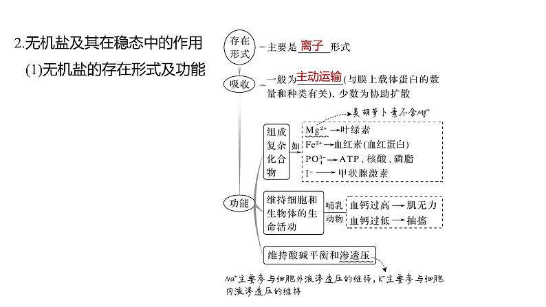 新教材2024届高考生物二轮复习1课时1细胞由多种多样的分子组成课件08