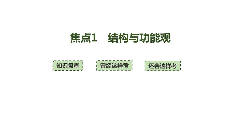 新教材2024届高考生物二轮复习1课时4结构与功能观蛋白质分选与囊泡运输特殊跨膜运输课件03