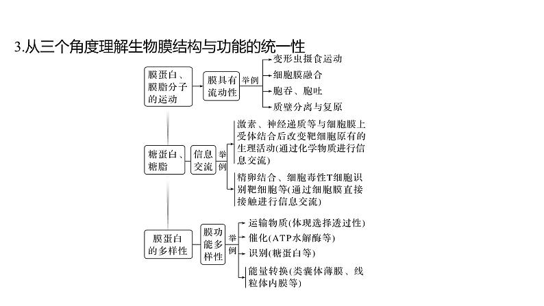 新教材2024届高考生物二轮复习1课时4结构与功能观蛋白质分选与囊泡运输特殊跨膜运输课件06