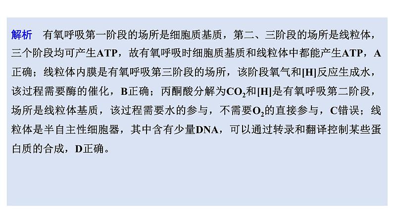 新教材2024届高考生物二轮复习1课时4结构与功能观蛋白质分选与囊泡运输特殊跨膜运输课件08