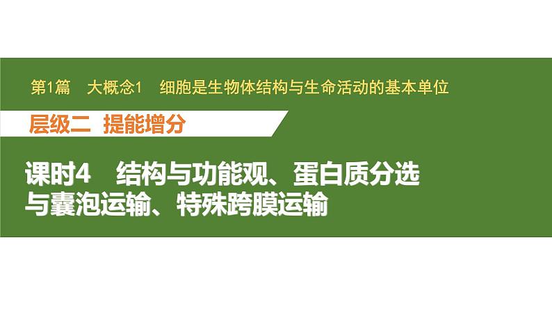 新教材2024届高考生物二轮复习1课时4结构与功能观蛋白质分选与囊泡运输特殊跨膜运输课件01