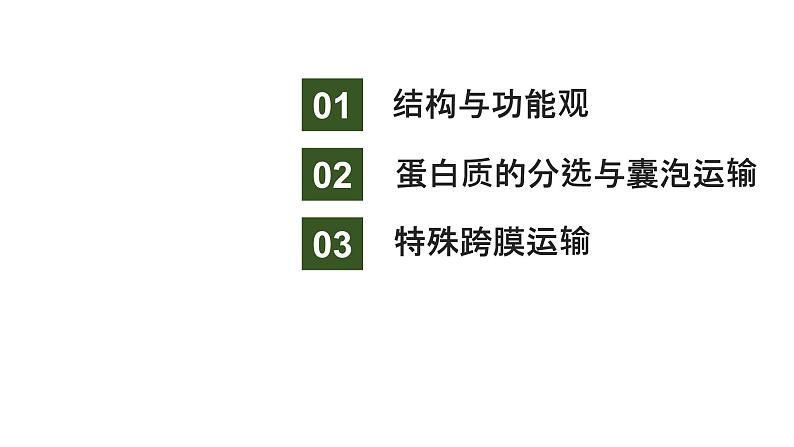 新教材2024届高考生物二轮复习1课时4结构与功能观蛋白质分选与囊泡运输特殊跨膜运输课件02