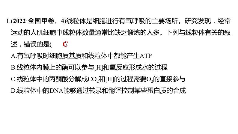 新教材2024届高考生物二轮复习1课时4结构与功能观蛋白质分选与囊泡运输特殊跨膜运输课件07