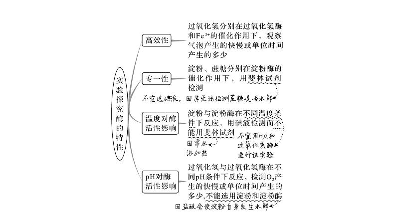 新教材2024届高考生物二轮复习2课时2酶相关实验探究净光合速率及“关键点”的移动课件04