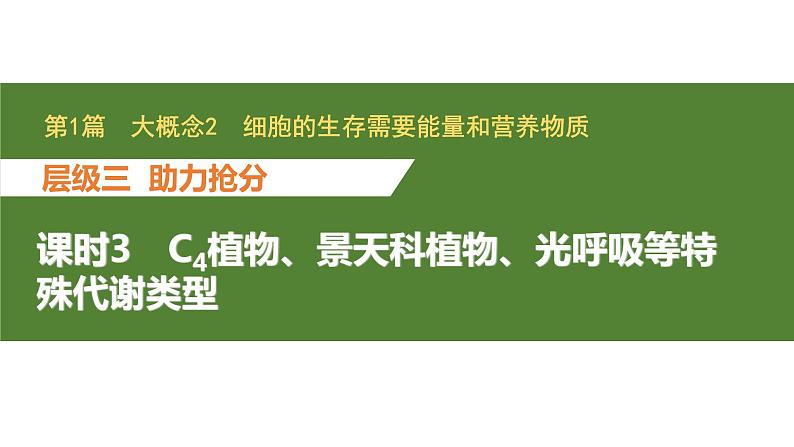 新教材2024届高考生物二轮复习2课时3C4植物景天科植物光呼吸等特殊代谢类型课件01