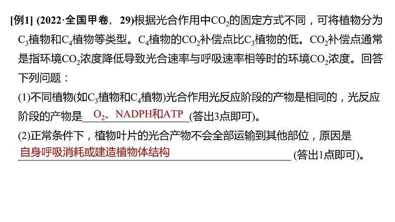 新教材2024届高考生物二轮复习2课时3C4植物景天科植物光呼吸等特殊代谢类型课件04