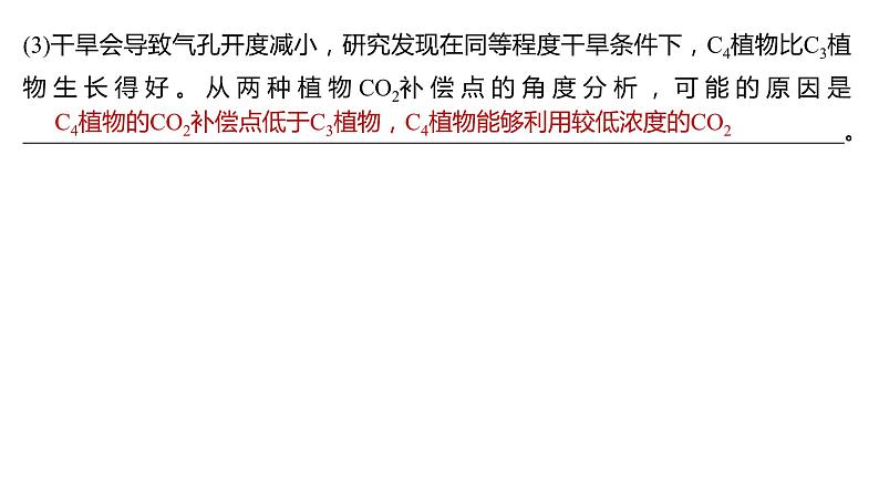 新教材2024届高考生物二轮复习2课时3C4植物景天科植物光呼吸等特殊代谢类型课件05