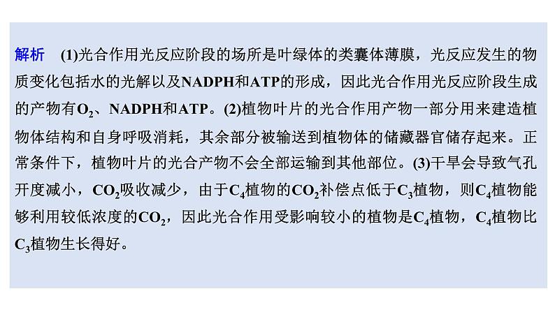 新教材2024届高考生物二轮复习2课时3C4植物景天科植物光呼吸等特殊代谢类型课件06