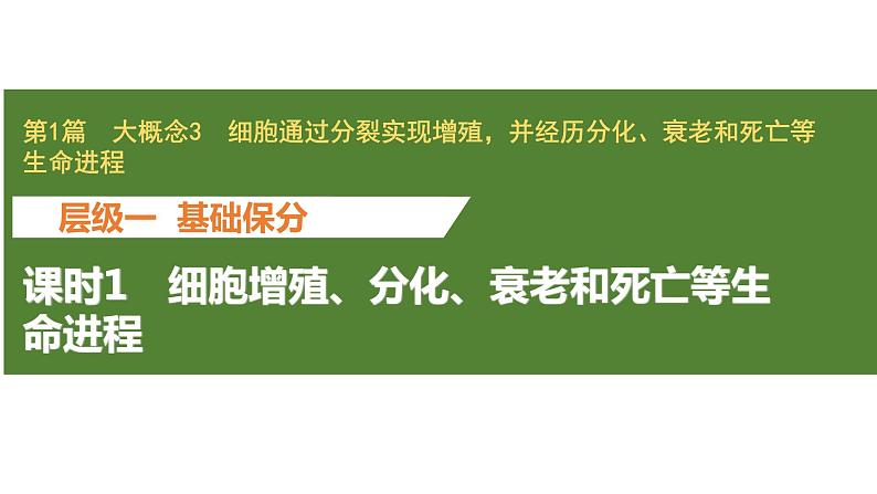 新教材2024届高考生物二轮复习3课时1细胞增殖分化衰老和死亡等生命进程课件第1页