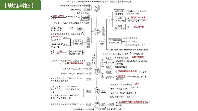 新教材2024届高考生物二轮复习3课时1细胞增殖分化衰老和死亡等生命进程课件第2页