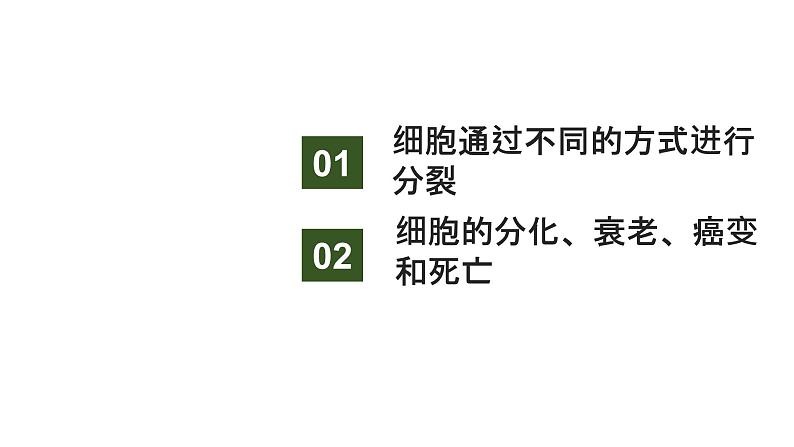 新教材2024届高考生物二轮复习3课时1细胞增殖分化衰老和死亡等生命进程课件第3页