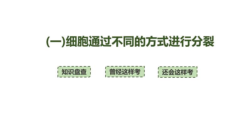 新教材2024届高考生物二轮复习3课时1细胞增殖分化衰老和死亡等生命进程课件第4页