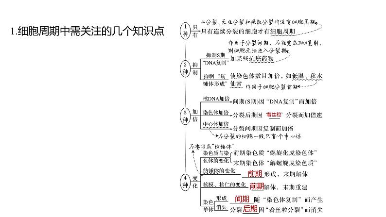 新教材2024届高考生物二轮复习3课时1细胞增殖分化衰老和死亡等生命进程课件第5页