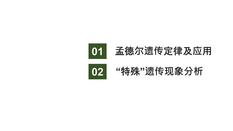 新教材2024届高考生物二轮复习4课时1有性生殖过程中基因的分离和自由组合具有规律性课件第3页