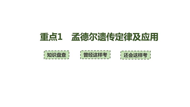 新教材2024届高考生物二轮复习4课时1有性生殖过程中基因的分离和自由组合具有规律性课件第4页