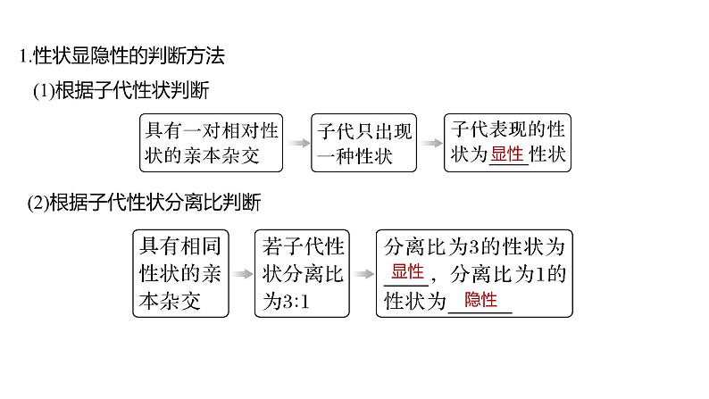 新教材2024届高考生物二轮复习4课时1有性生殖过程中基因的分离和自由组合具有规律性课件第5页