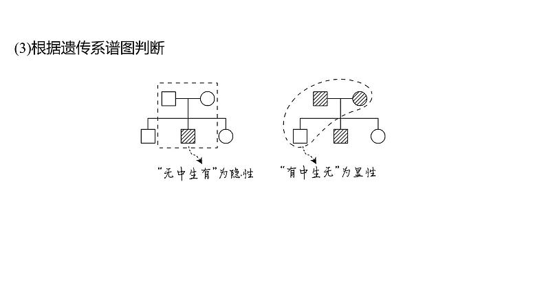 新教材2024届高考生物二轮复习4课时1有性生殖过程中基因的分离和自由组合具有规律性课件第7页