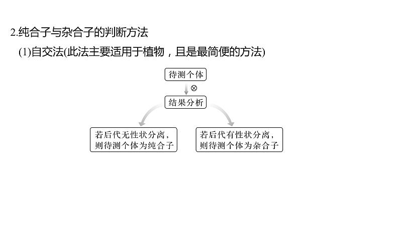 新教材2024届高考生物二轮复习4课时1有性生殖过程中基因的分离和自由组合具有规律性课件第8页