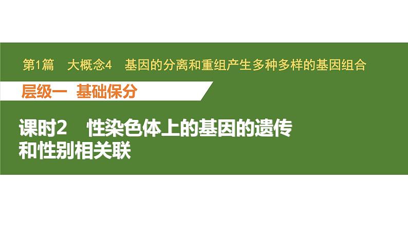 新教材2024届高考生物二轮复习4课时2性染色体上的基因的遗传和性别相关联课件第1页