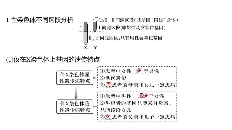 新教材2024届高考生物二轮复习4课时2性染色体上的基因的遗传和性别相关联课件第2页