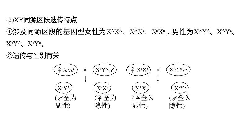 新教材2024届高考生物二轮复习4课时2性染色体上的基因的遗传和性别相关联课件第3页