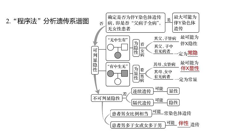 新教材2024届高考生物二轮复习4课时2性染色体上的基因的遗传和性别相关联课件第4页