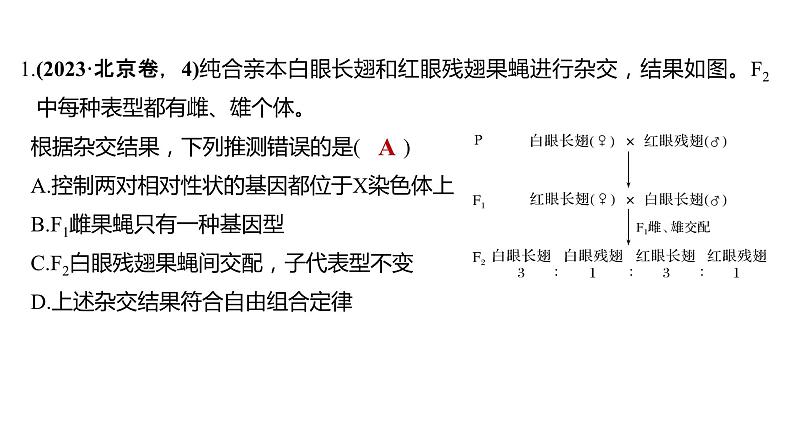 新教材2024届高考生物二轮复习4课时2性染色体上的基因的遗传和性别相关联课件第7页