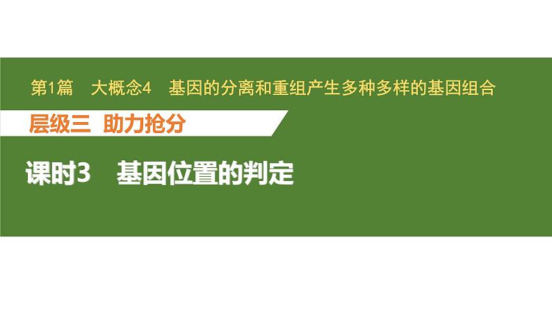 新教材2024届高考生物二轮复习4课时3基因位置的判定课件01