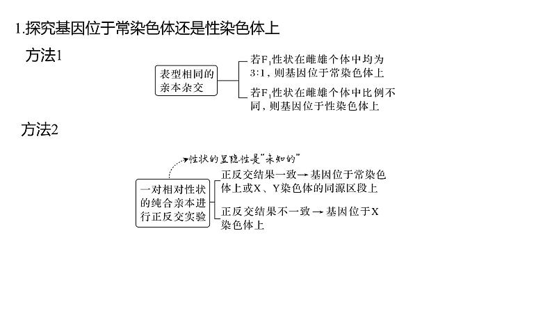 新教材2024届高考生物二轮复习4课时3基因位置的判定课件02