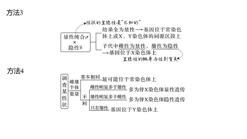 新教材2024届高考生物二轮复习4课时3基因位置的判定课件03