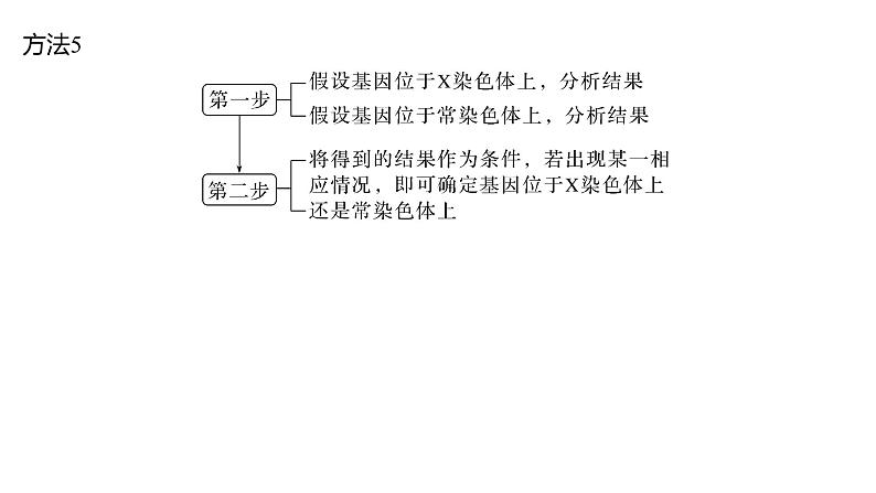 新教材2024届高考生物二轮复习4课时3基因位置的判定课件04