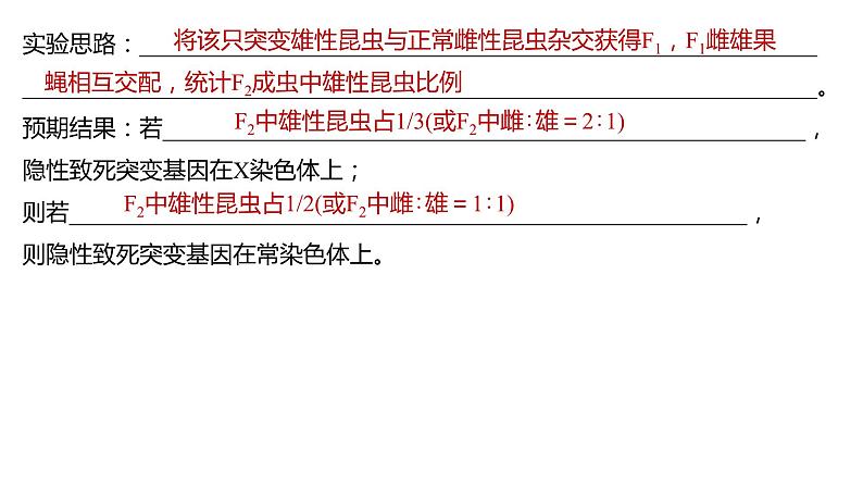 新教材2024届高考生物二轮复习4课时3基因位置的判定课件07