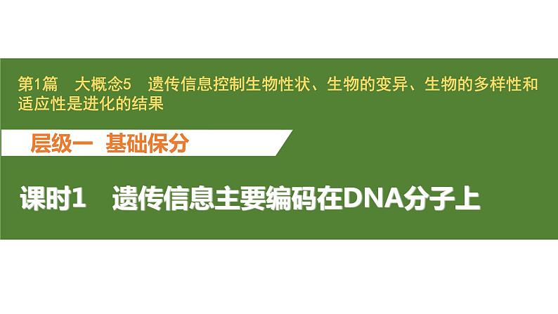 新教材2024届高考生物二轮复习5课时1遗传信息主要编码在DNA分子上课件第1页