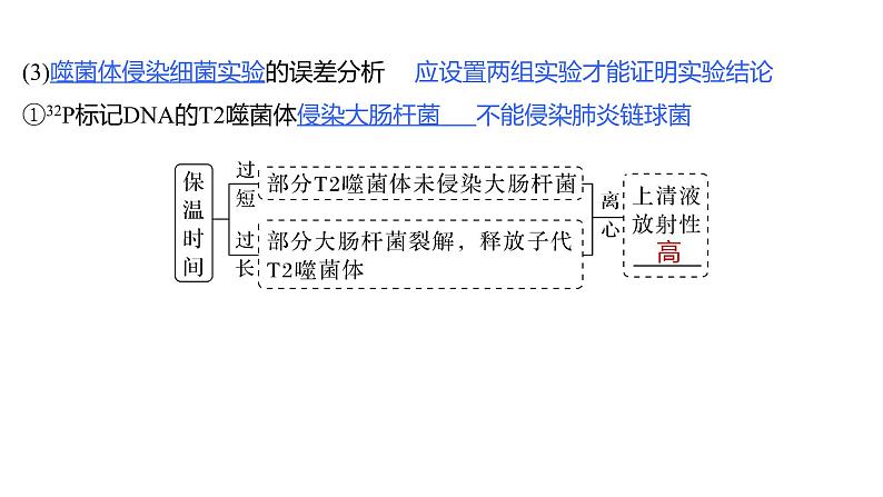 新教材2024届高考生物二轮复习5课时1遗传信息主要编码在DNA分子上课件第6页