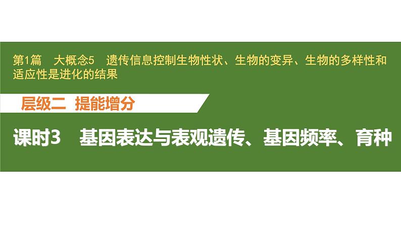 新教材2024届高考生物二轮复习5课时3基因表达与表观遗传基因频率育种课件第1页