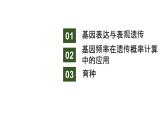 新教材2024届高考生物二轮复习5课时3基因表达与表观遗传基因频率育种课件