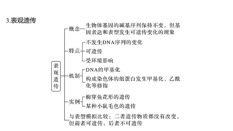 新教材2024届高考生物二轮复习5课时3基因表达与表观遗传基因频率育种课件第6页