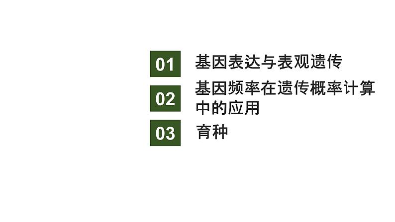 新教材2024届高考生物二轮复习5课时3基因表达与表观遗传基因频率育种课件第2页