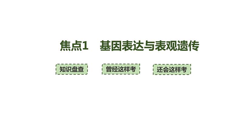 新教材2024届高考生物二轮复习5课时3基因表达与表观遗传基因频率育种课件第3页