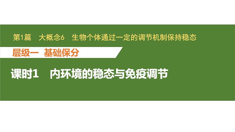 新教材2024届高考生物二轮复习6课时1内环境的稳态与免疫调节课件第1页