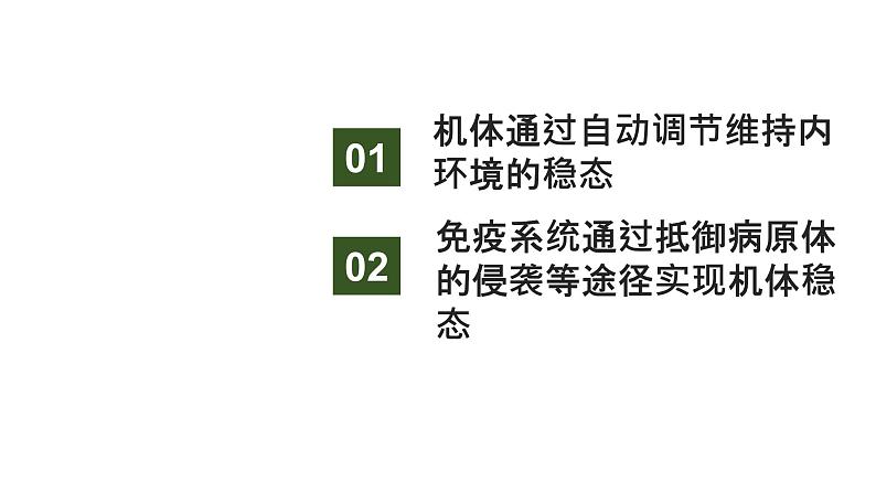 新教材2024届高考生物二轮复习6课时1内环境的稳态与免疫调节课件第3页