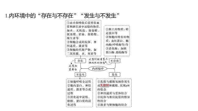 新教材2024届高考生物二轮复习6课时1内环境的稳态与免疫调节课件第5页