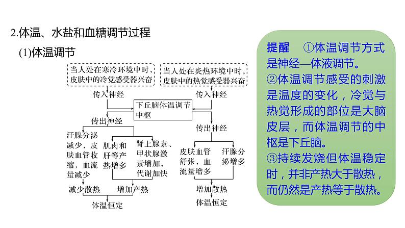 新教材2024届高考生物二轮复习6课时1内环境的稳态与免疫调节课件第6页