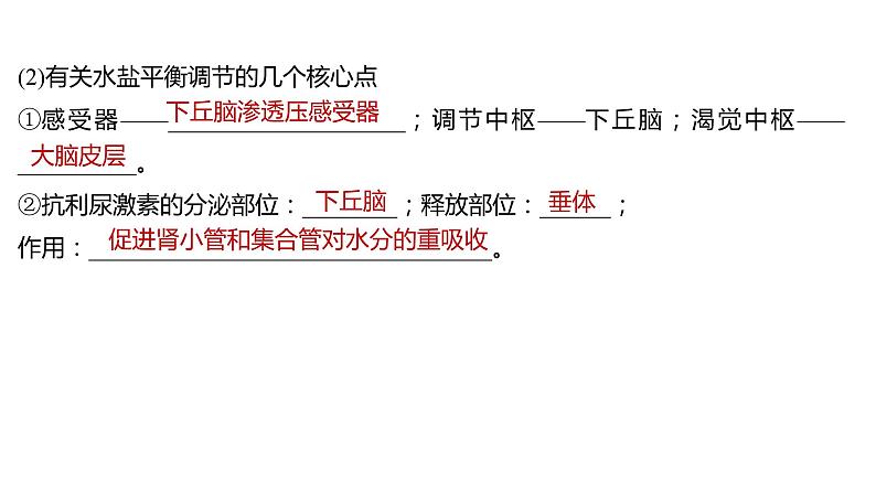 新教材2024届高考生物二轮复习6课时1内环境的稳态与免疫调节课件第7页